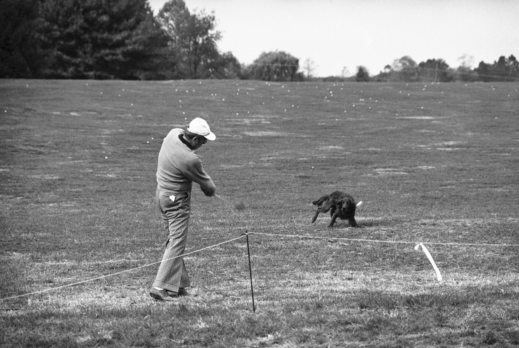 Presidential Pets 1970s